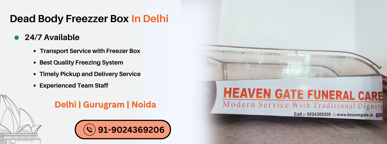 Frezzer Box In Delhi