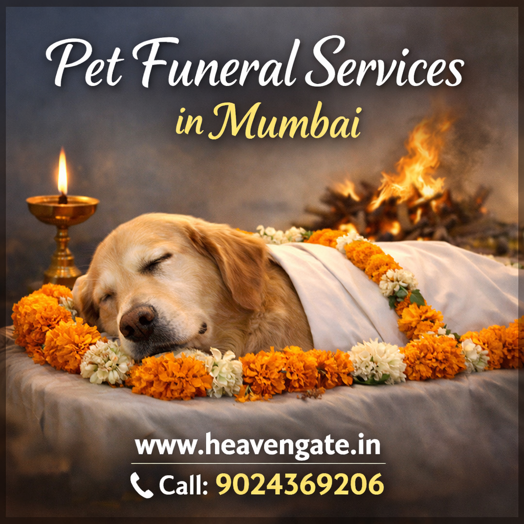 Pet Funeral Services in Mumbai by Heaven Gate – Compassionate Pet Cremation & Last Rites